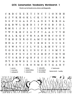 Conservation Word Search