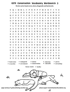 Conservation Word Search